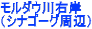モルダウ川右岸 （シナゴーグ周辺）