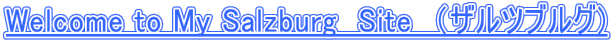 Welcome to My Salzburg　Site　（ザルツブルグ) 