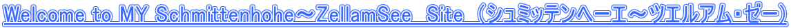 Welcome to MY Schmittenhohe�`ZellamSee  Site�@(�V���~�b�e���w�[�G�`�c�G���A���E�[�[) 