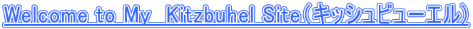 Welcome to My�@Kitzbuhel Site�i�L�b�V���r���[�G��) 