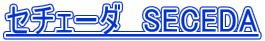 �Z�`�F�[�_�@SECEDA 