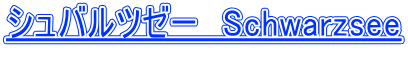 �V���o���c�[�[�@Schwarzsee  